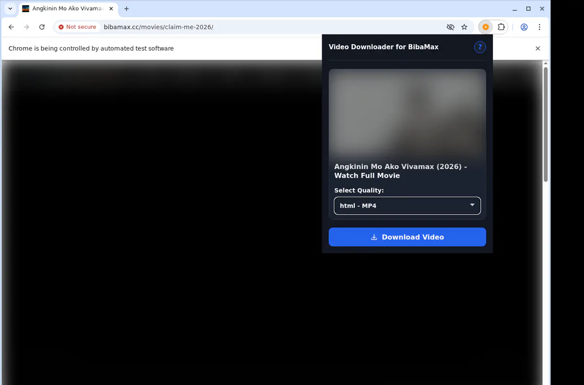 Bibamax Video Downloader browser extension screenshot 3
